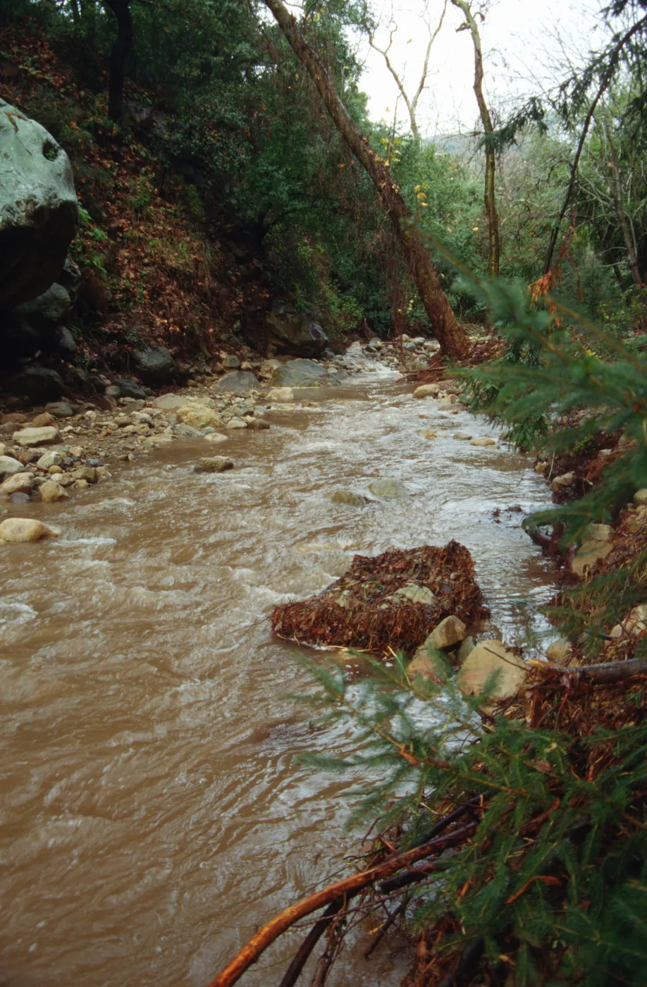 Mission Creek Flood Stage, January 1995 Storm