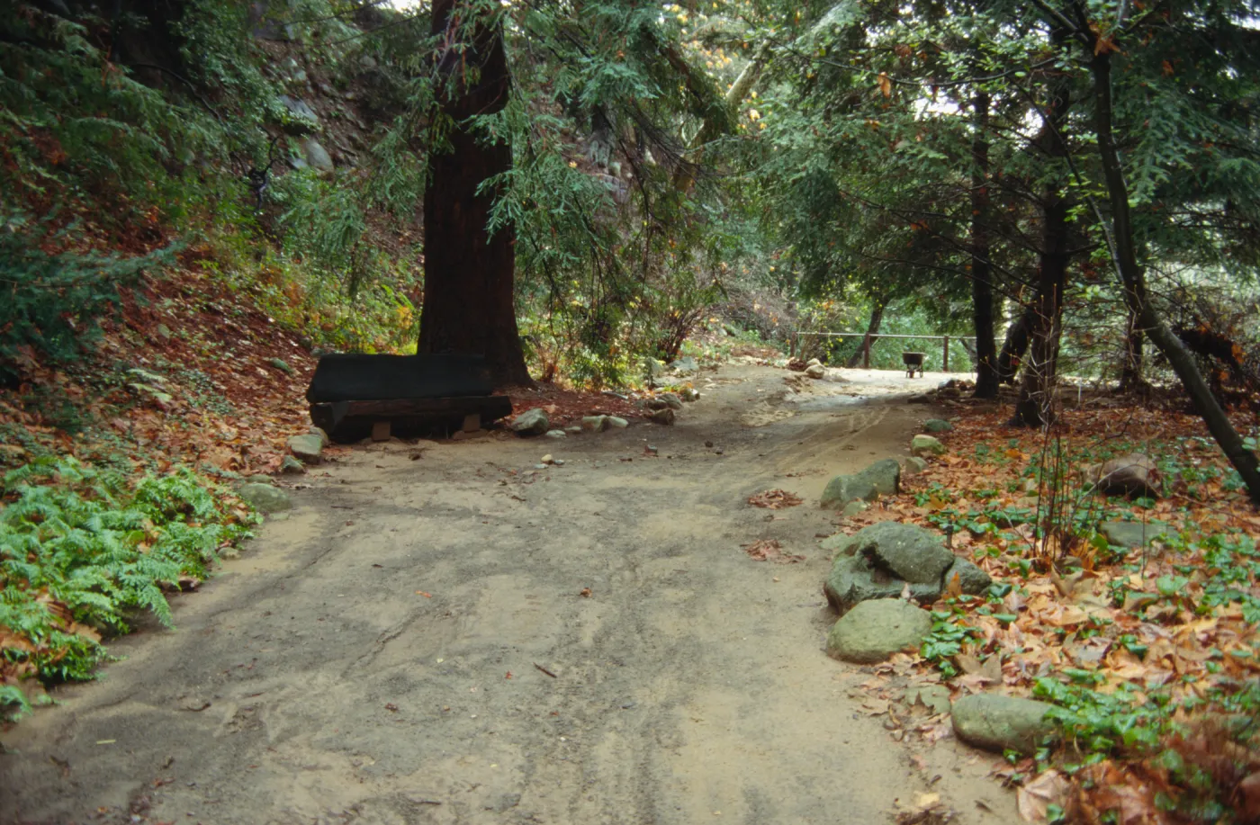 Miission Creekk Flood Stage, January 1995 Storm