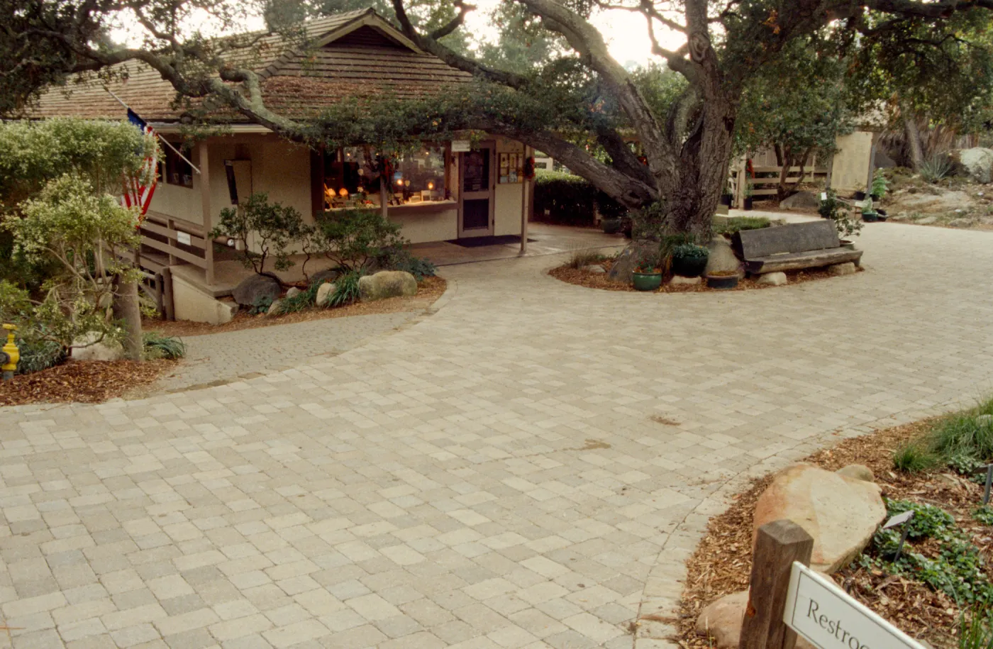 New pavered path at Garden Entrance, entrance oak