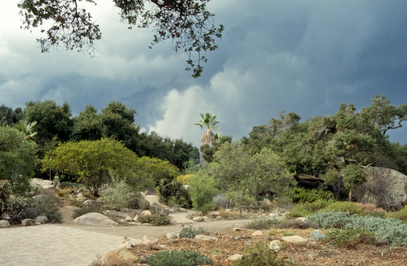 Lower Meadow and Desert section