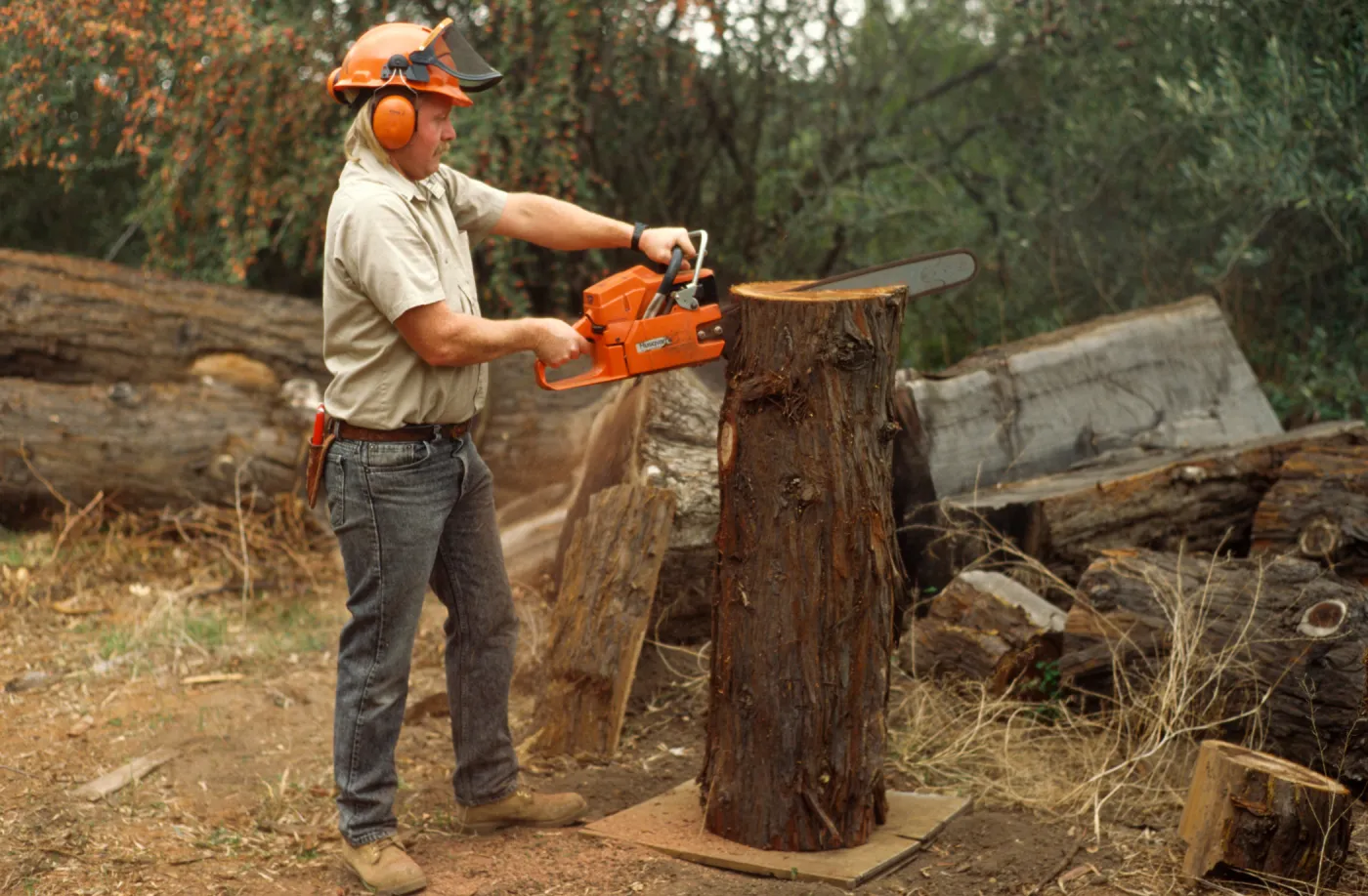 construction of redwood bench at SBBG, Dave Kershaw