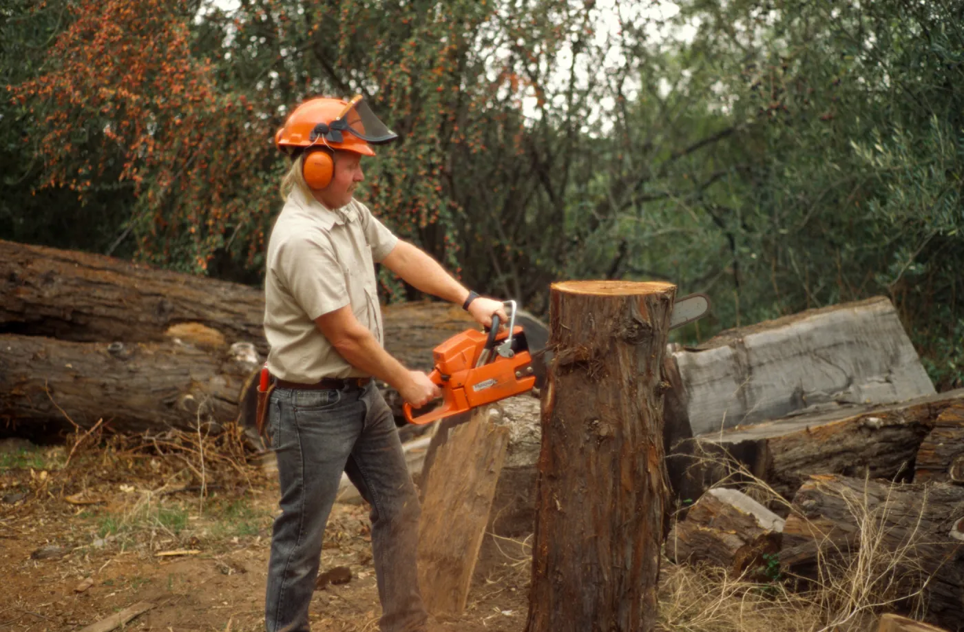 construction of redwood bench at SBBG, Dave Kershaw