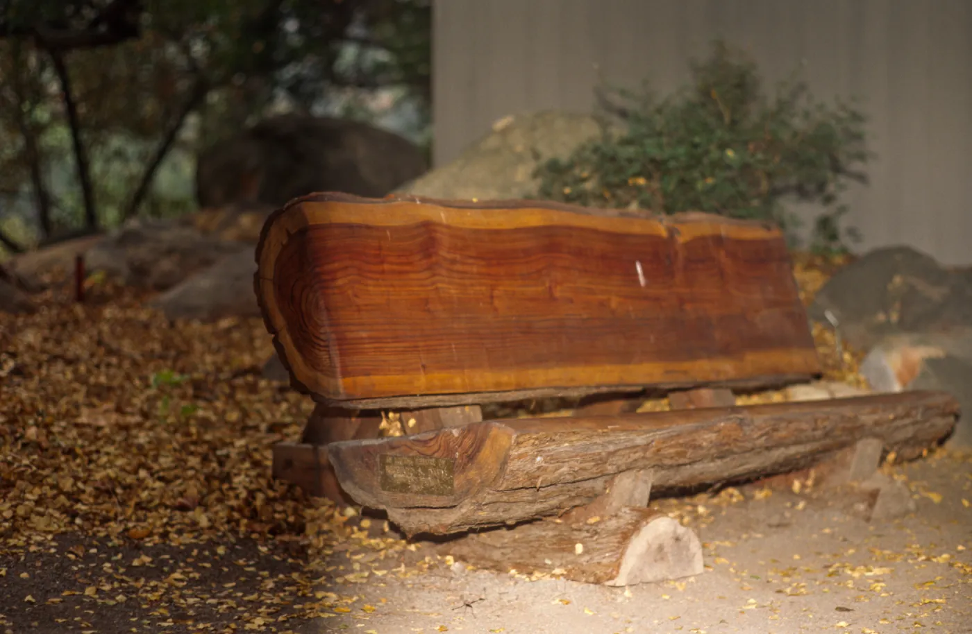 new redwood bench at Information Kiosk