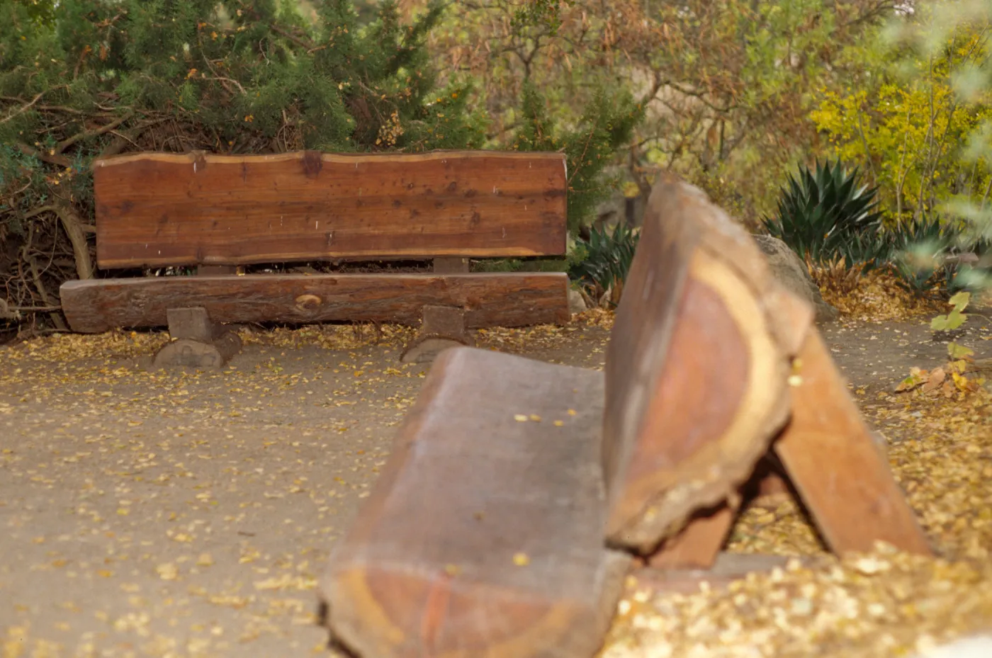 new redwood benches at Information Kiosk