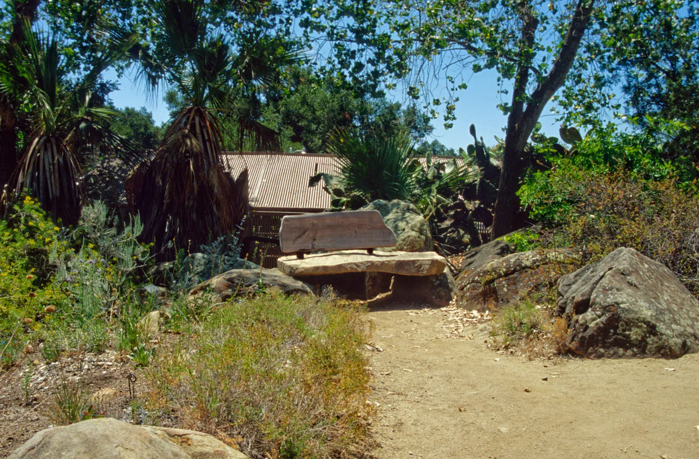 wood bench in Desert Section (replaced by stone Pritzlaff Bench in 2000)
