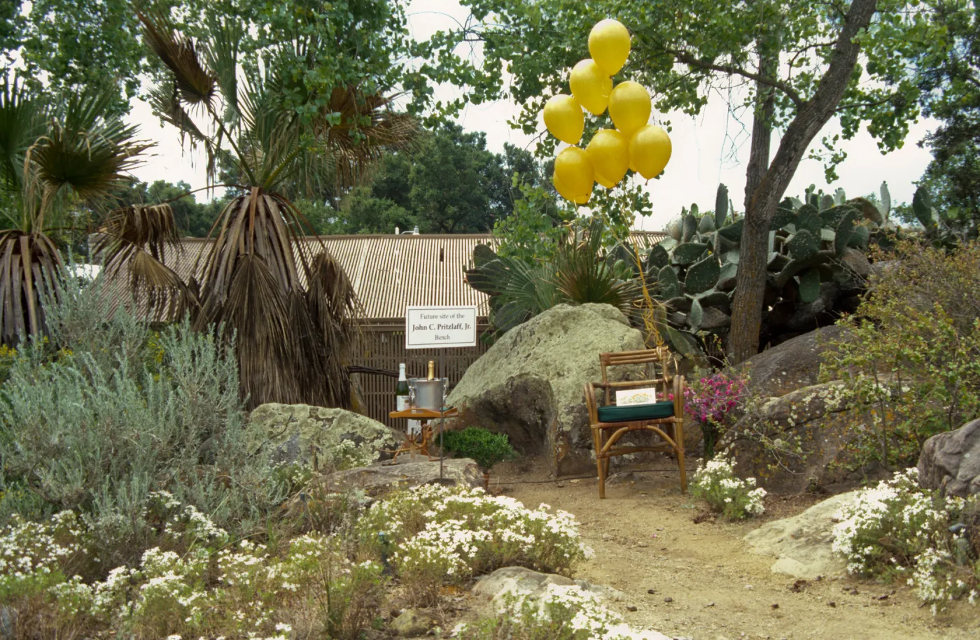 Dedication event, new stone bench in Desert Section, Pritzlaff Bench, 2000