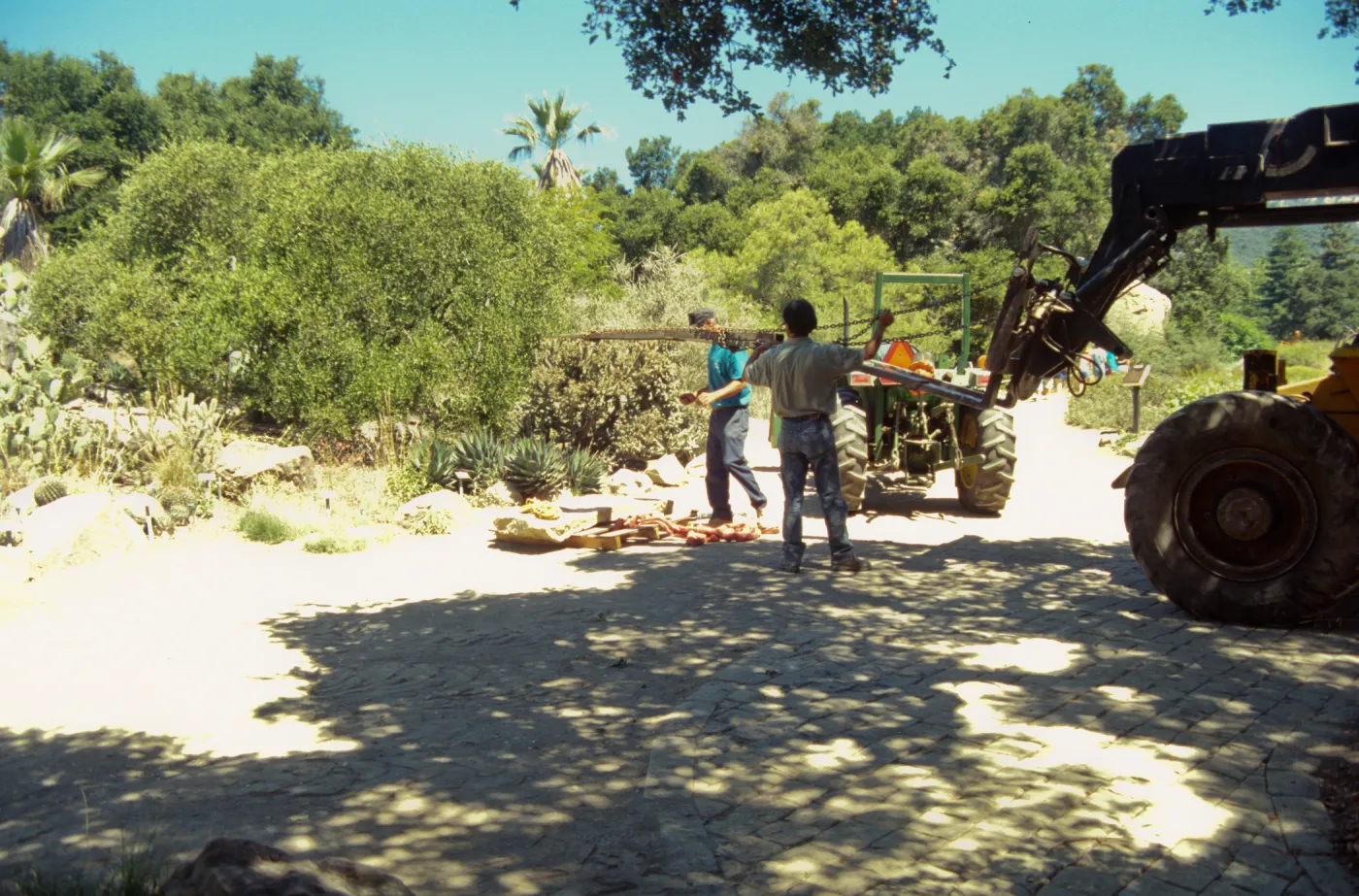 construction and placement of the Pritzlaff Bench in the Desert Section, 2000