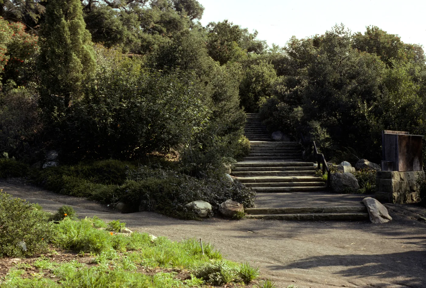 SBBG Entrance steps, staircase, back side of Entrance Kiosk display