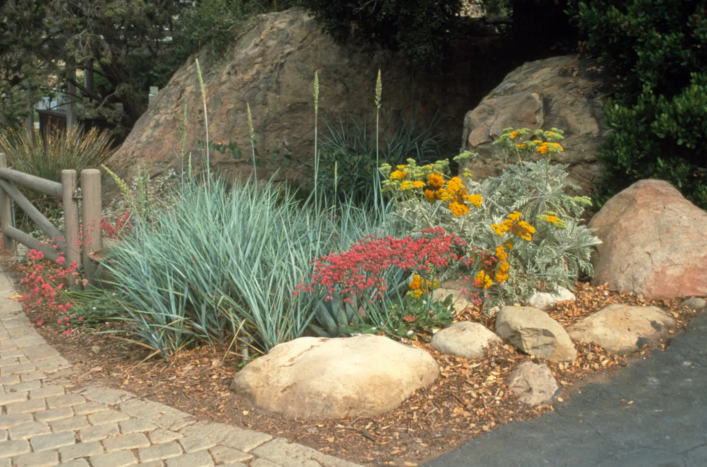 Entrance Display garden, SBBG