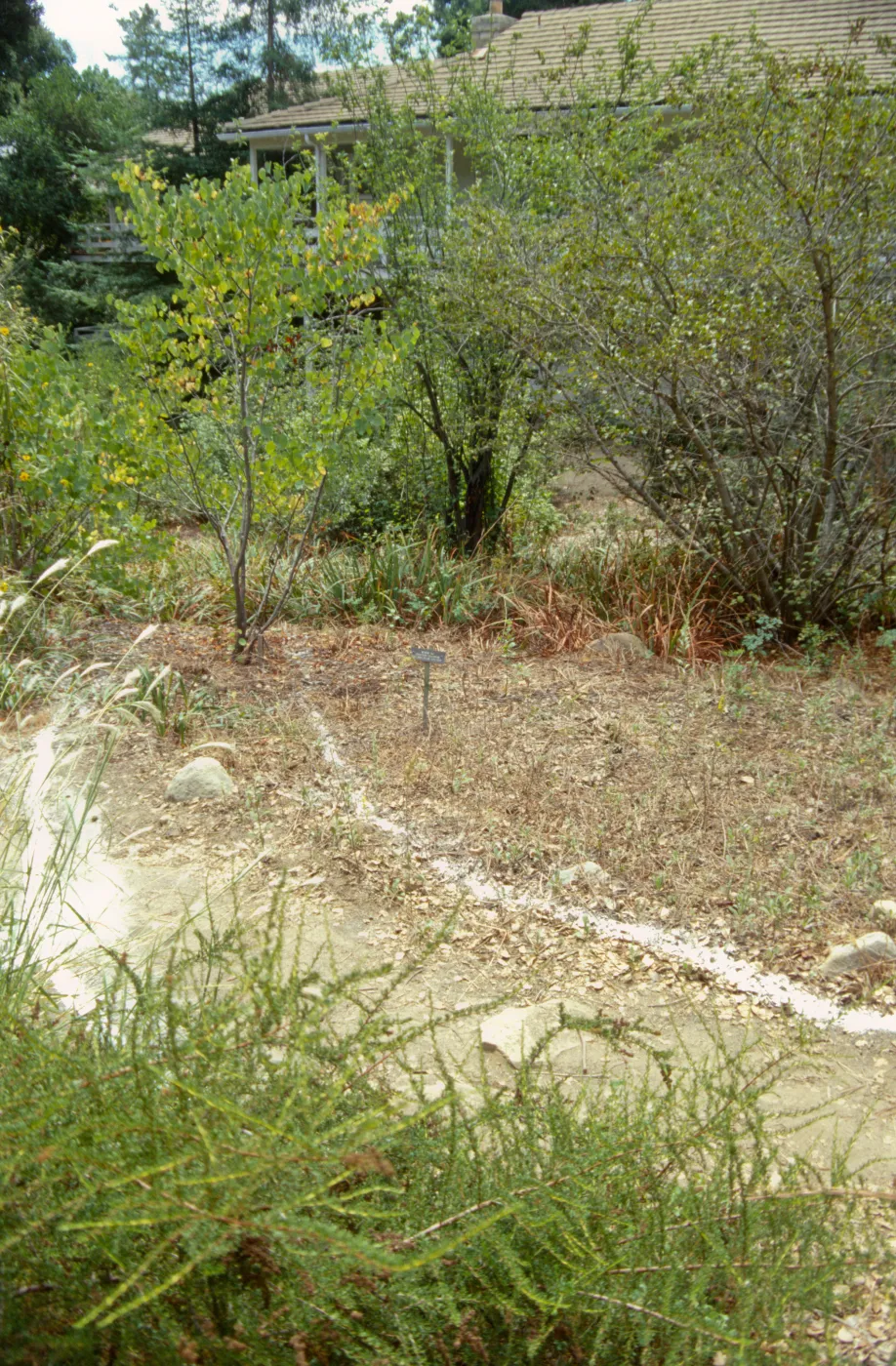 Entrance reconstruction