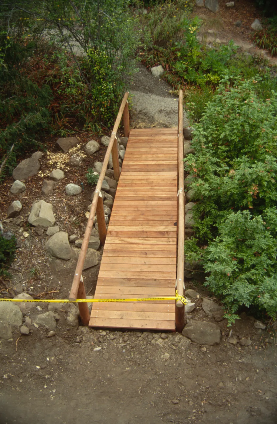 Path Paving