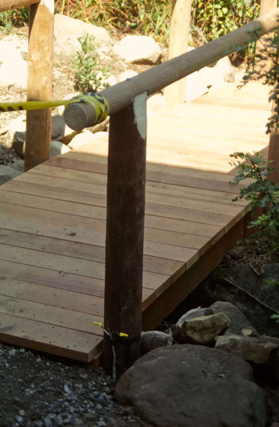 Path Paving