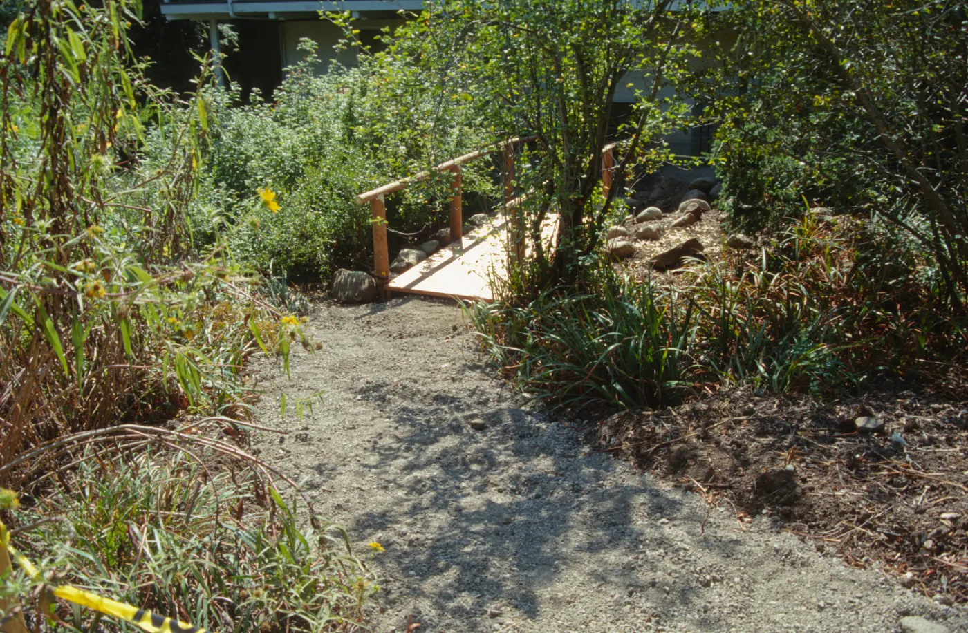 Path Paving