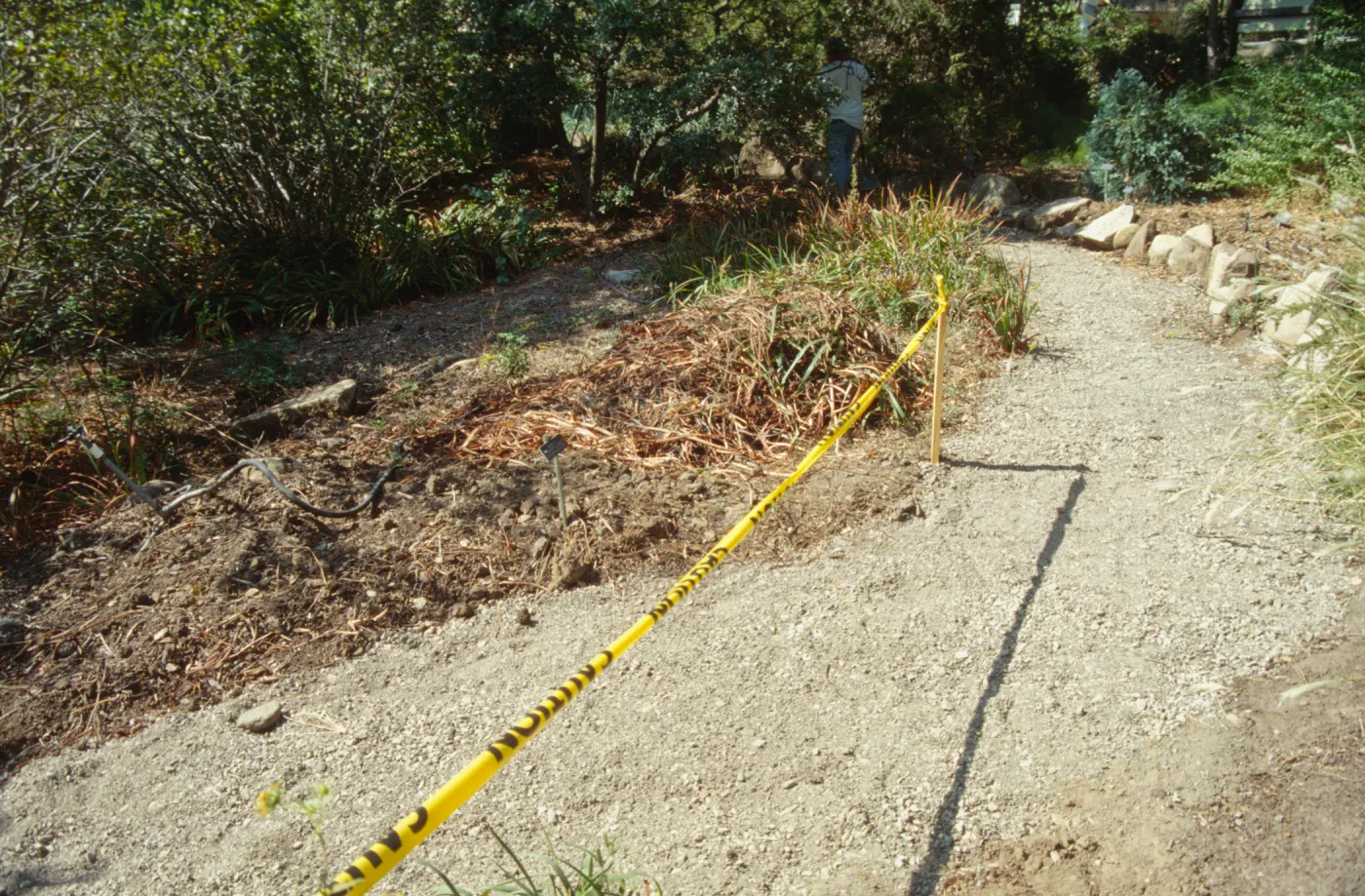 Path Paving