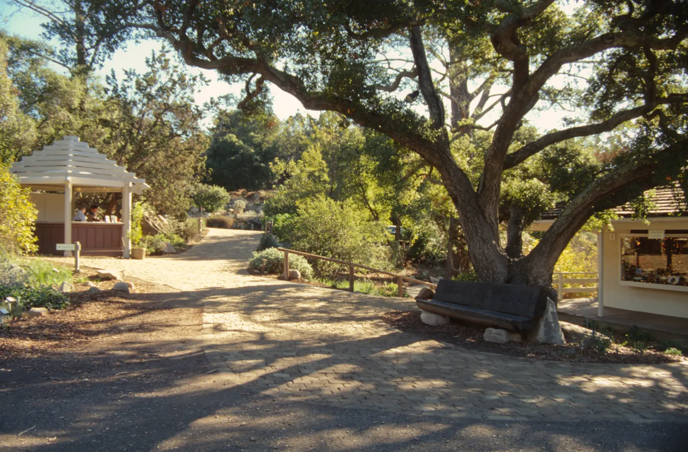 Path Paving