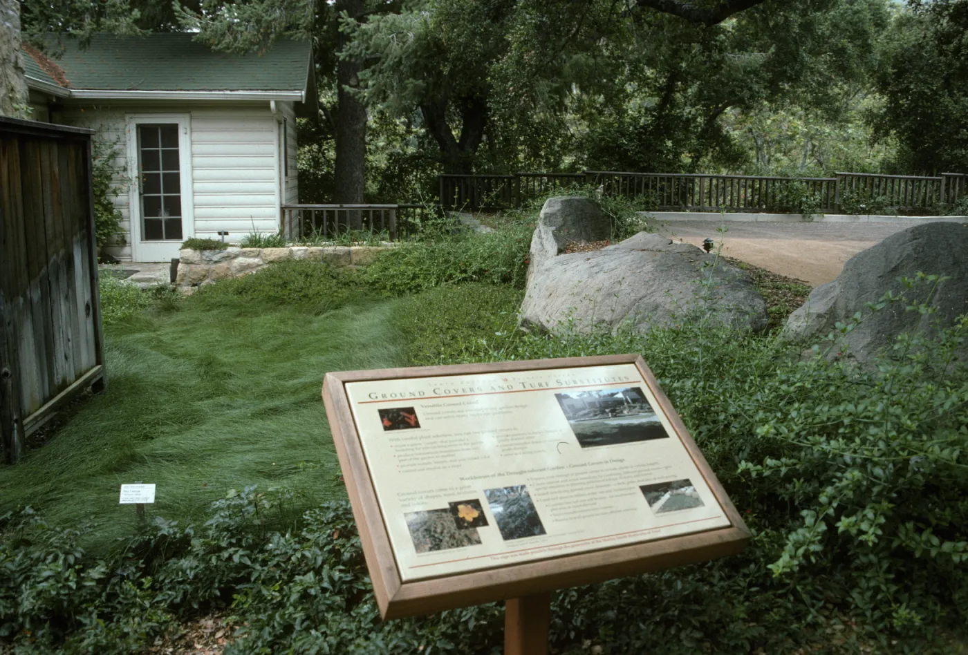Ground Cover Interpretive Panel