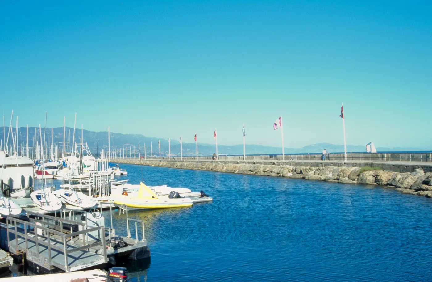 Avenue of Flags at Santa Barbara Harbor