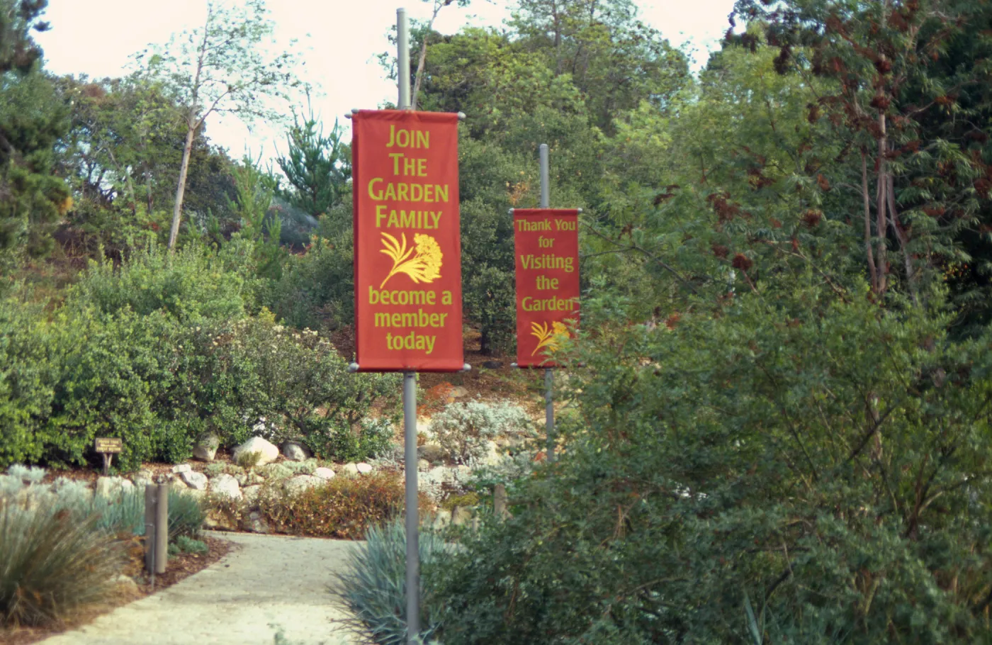 New SBBG Banner