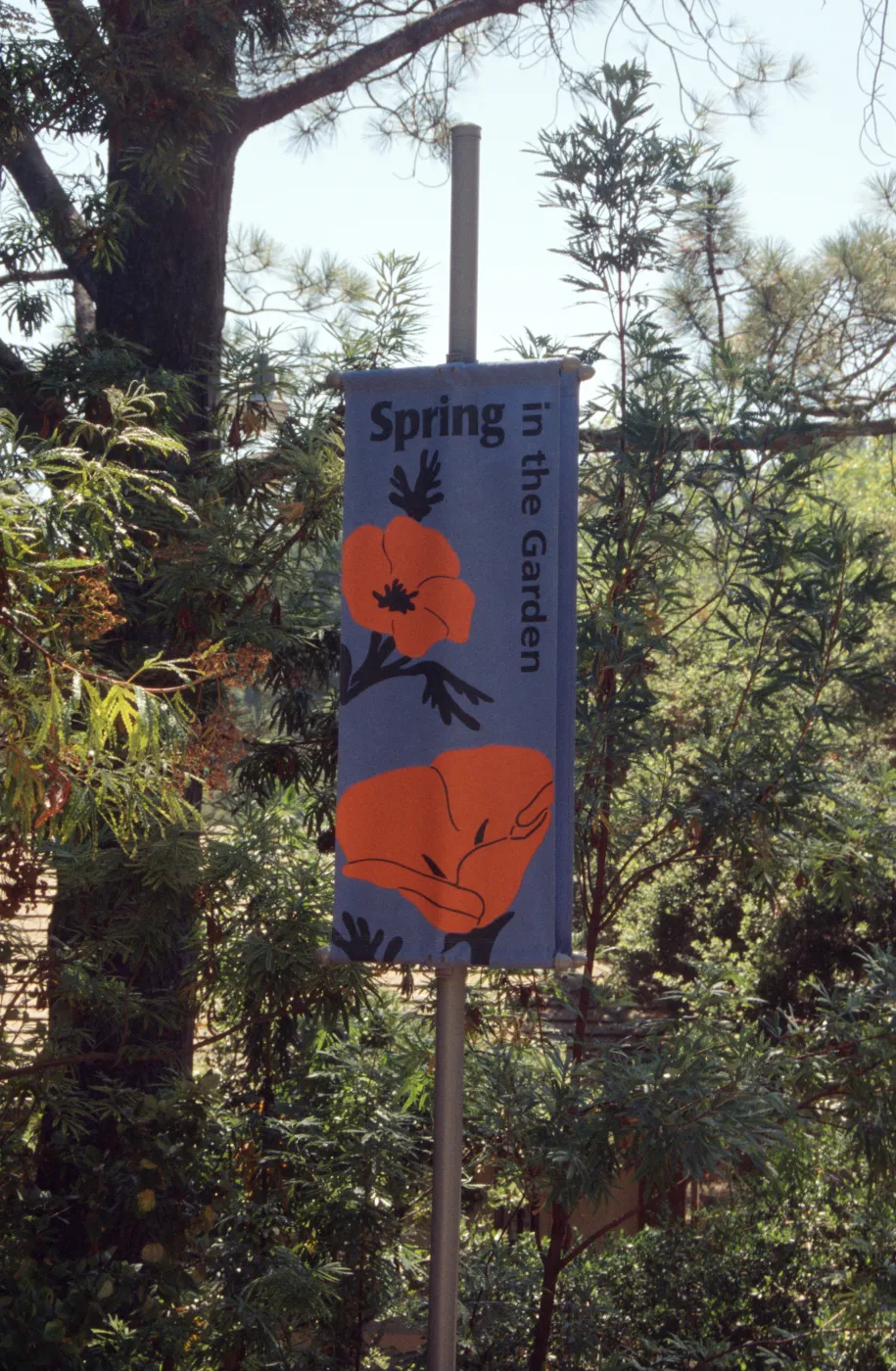 New Spring Banner
