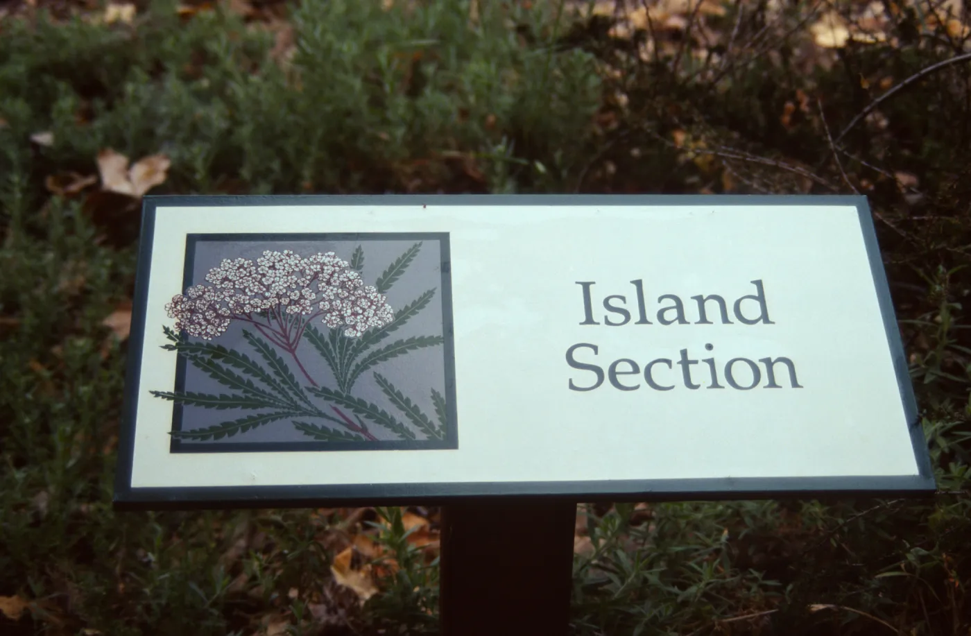 Island Section Sign