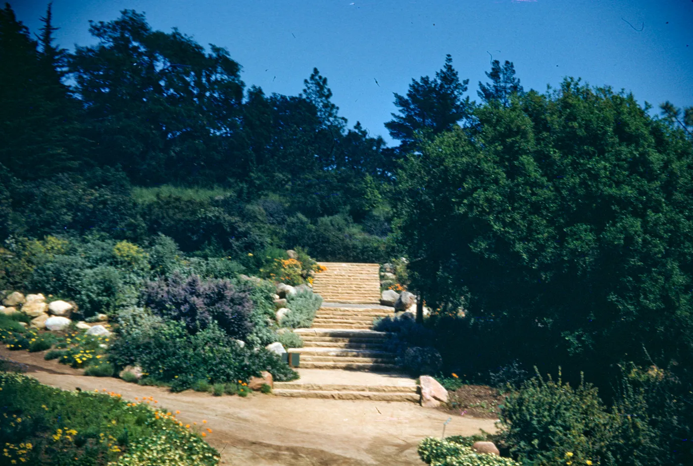 SBBG Entrance Steps, after the parking lot