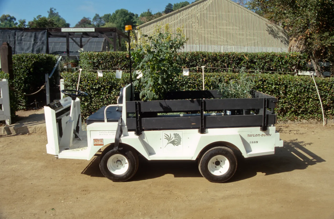 new electric cart 