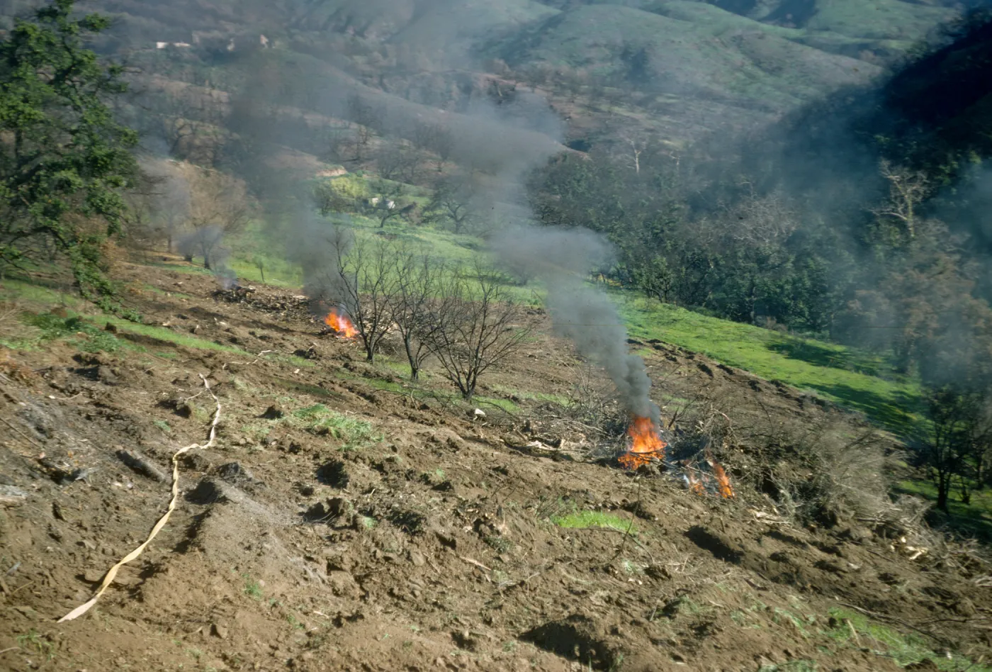 Clearing Burned Debris after Coyote Fire