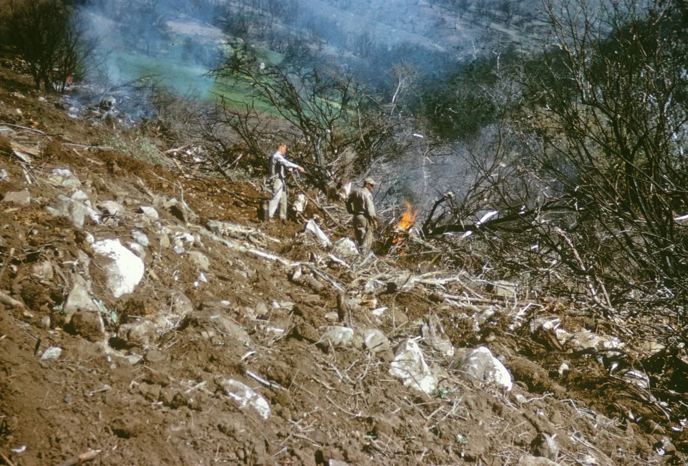 olive Grove clearing after Coyote Fire