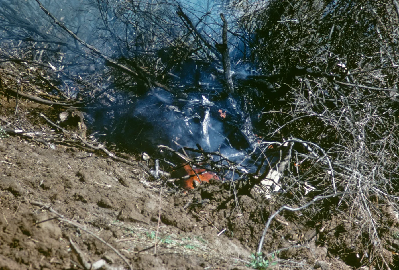 olive Grove clearing after Coyote Fire