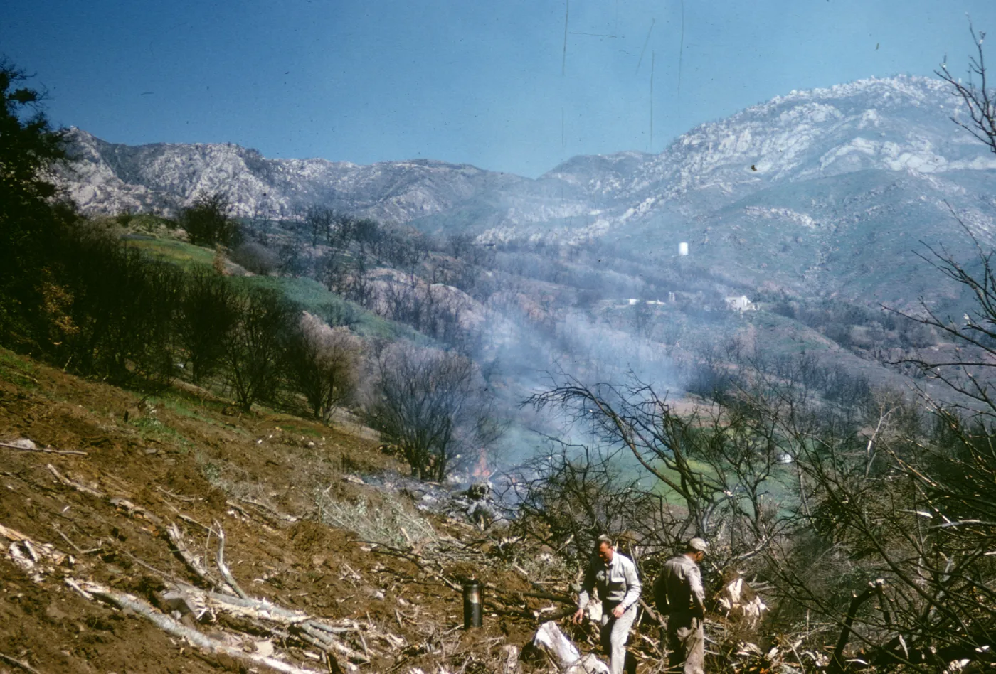 olive Grove clearing after Coyote Fire