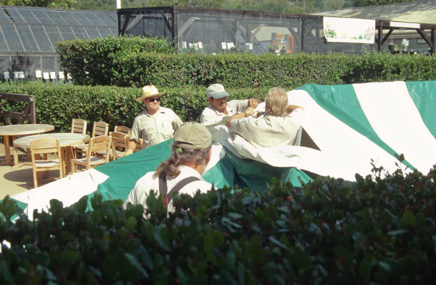 Setting up a canopy in the Courtyard