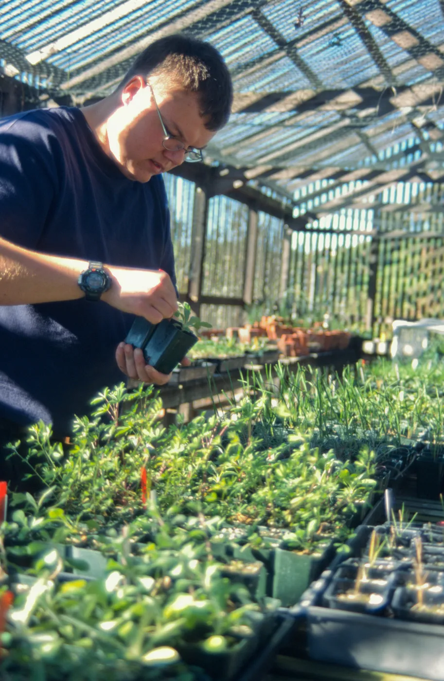 Andrew Wyatt, plant propagator, Horticulture Unit