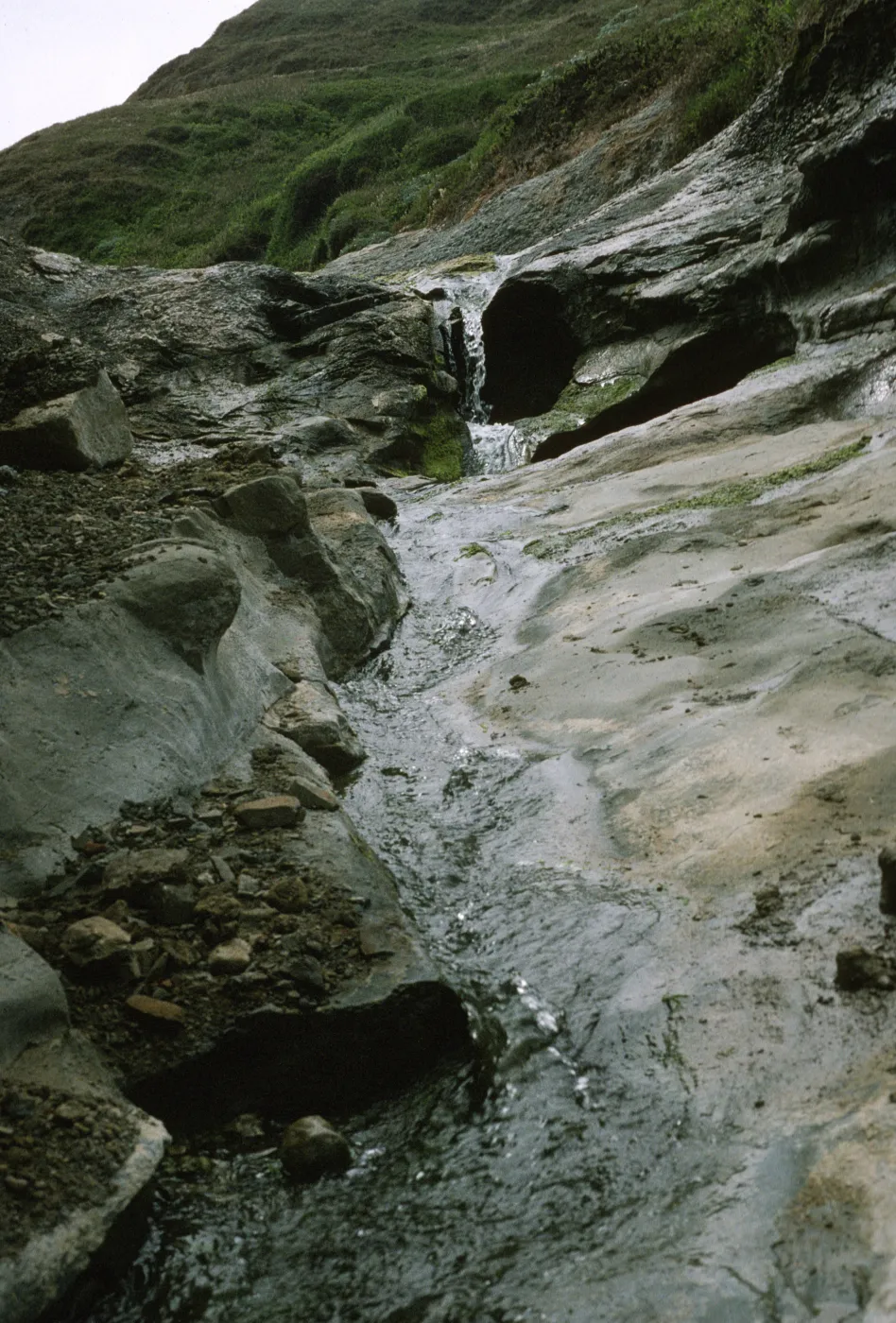 Santa Rosa Island