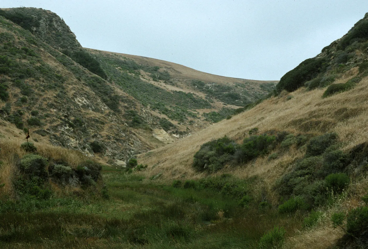 Santa Rosa Island