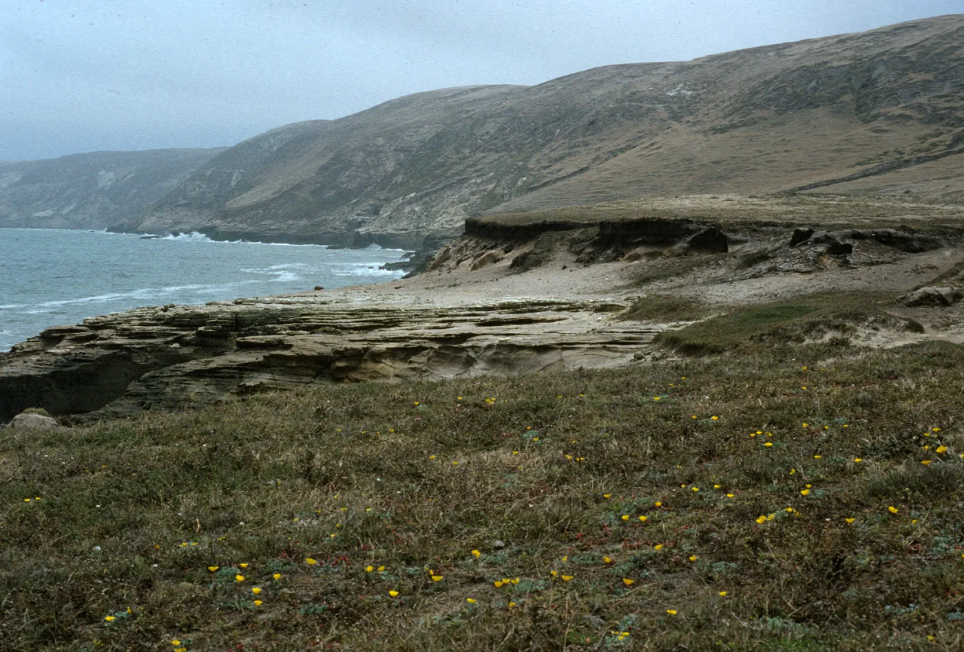 Lobo Canyon, Santa Rosa Island