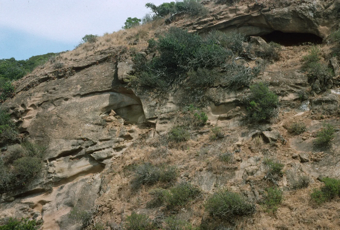 Trancion Canyon, Santa Rosa Island