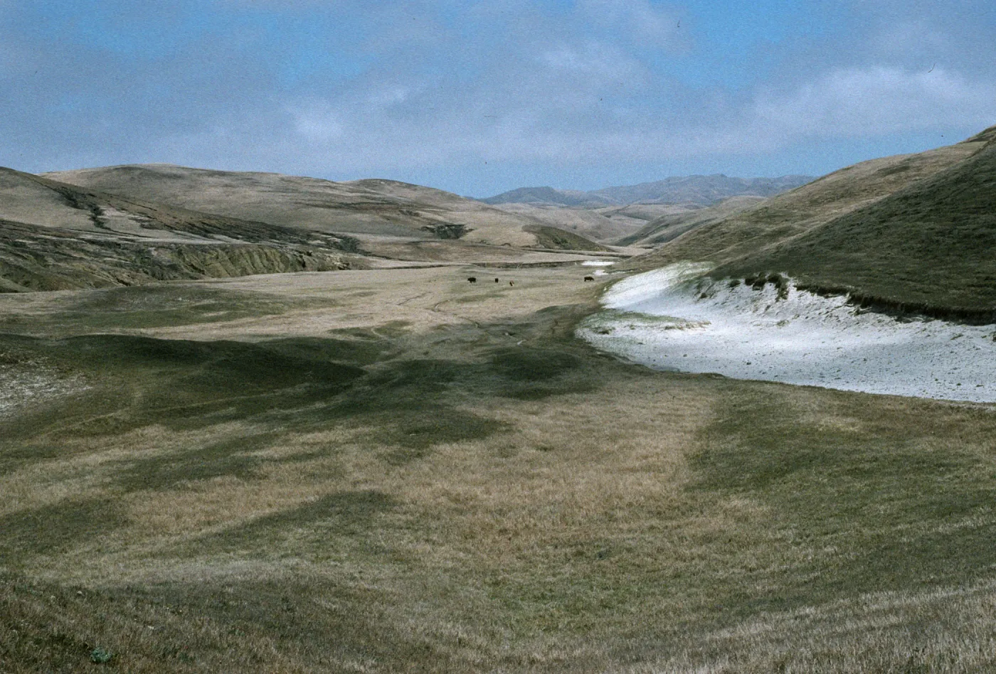 Arlington Canyon, Santa Rosa Island
