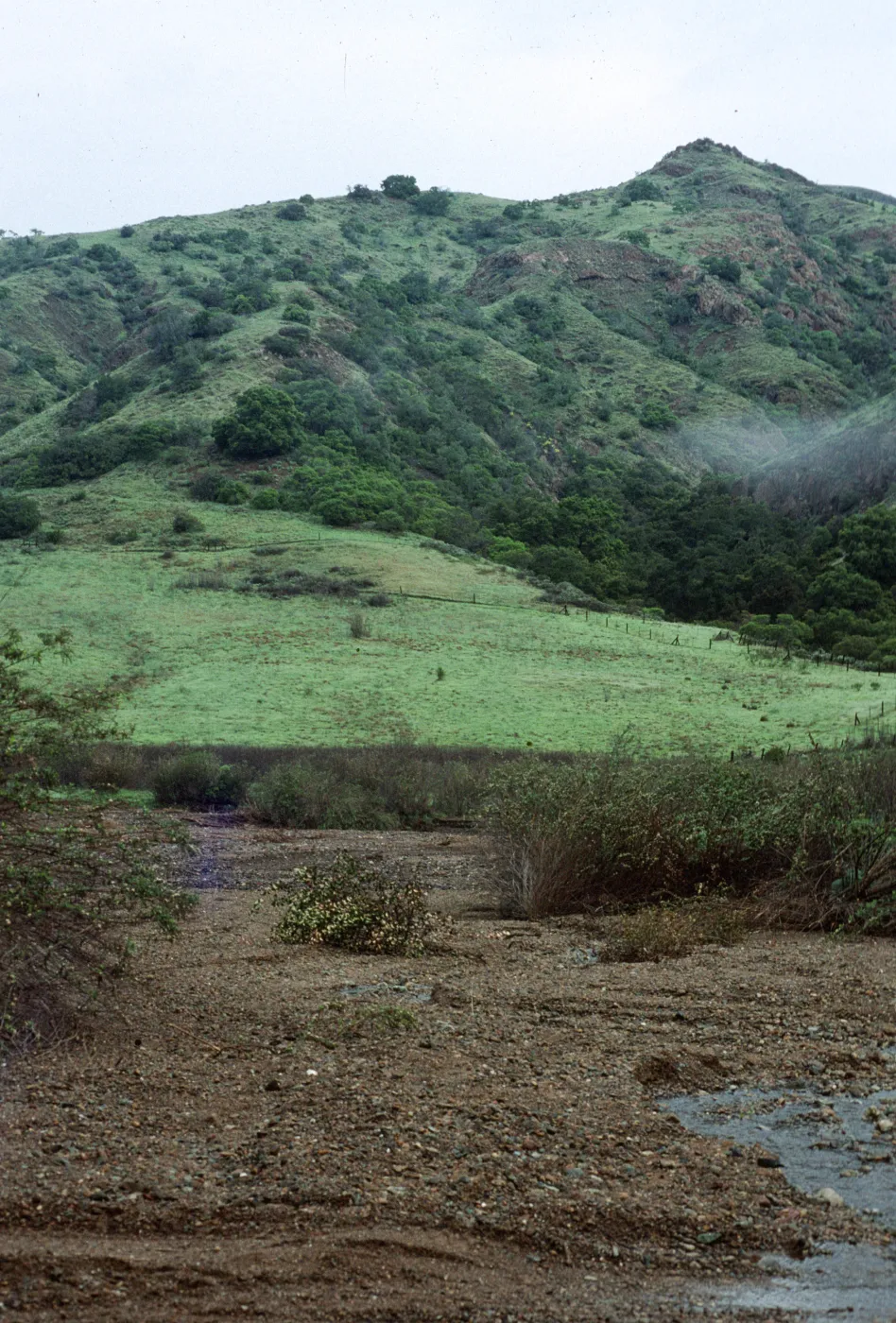 Central Valley, Santa Cruz Island