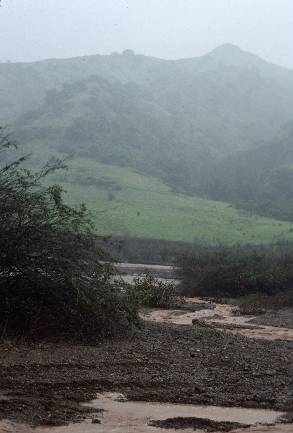 Flash flood, Central Valley, Santa Cruz Island