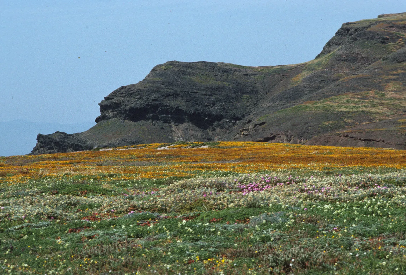 West Point, Santa Cruz Island