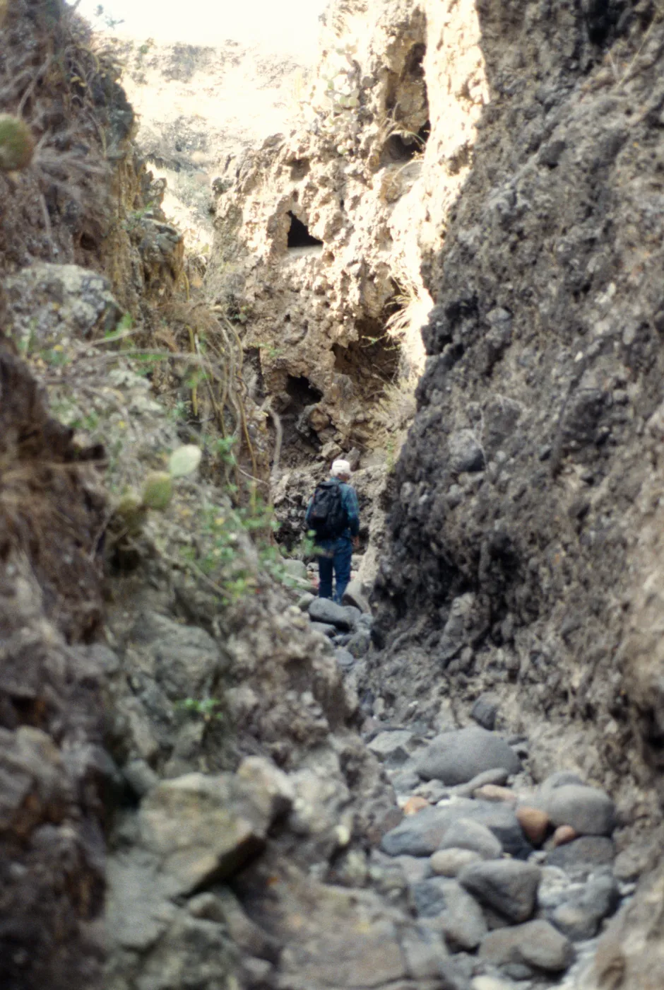 Horse Canyon, San Clemente Island