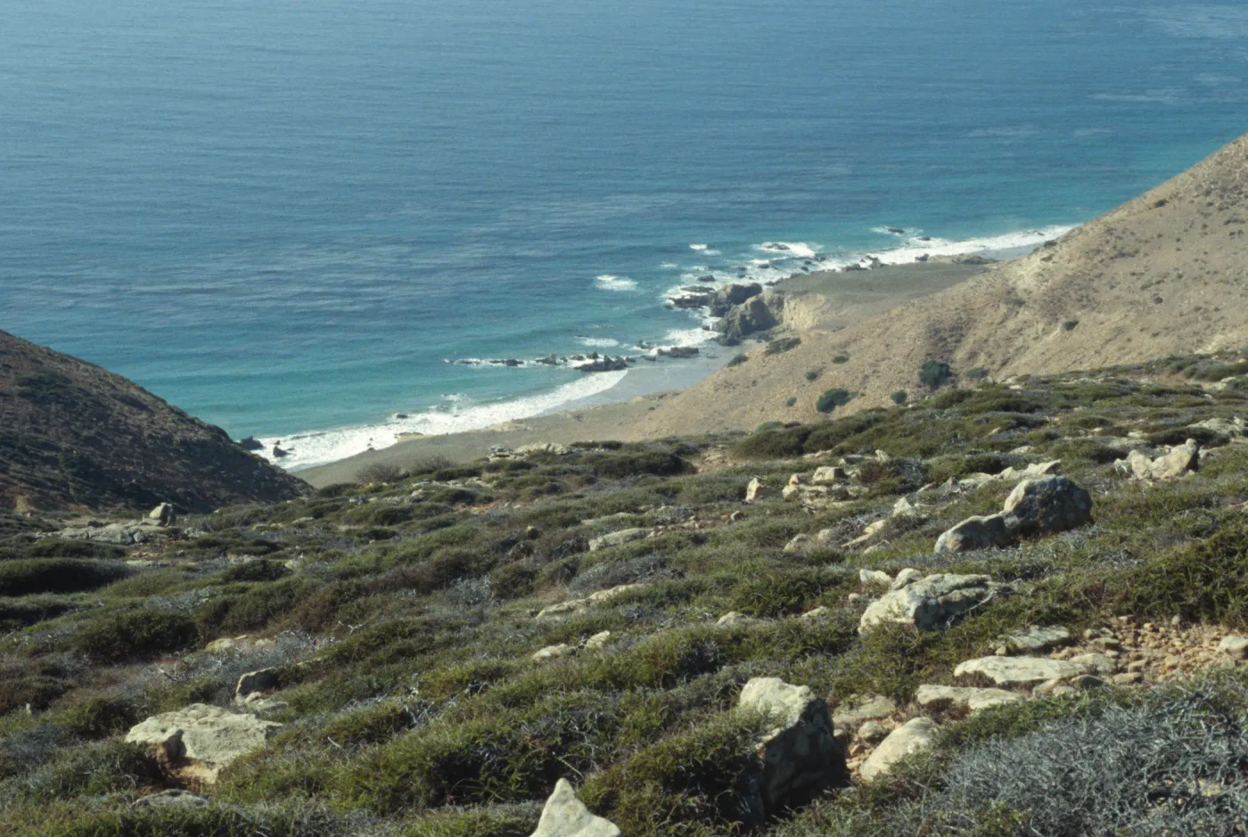 canyon north of Grouse (BM), Santa Rosa Island