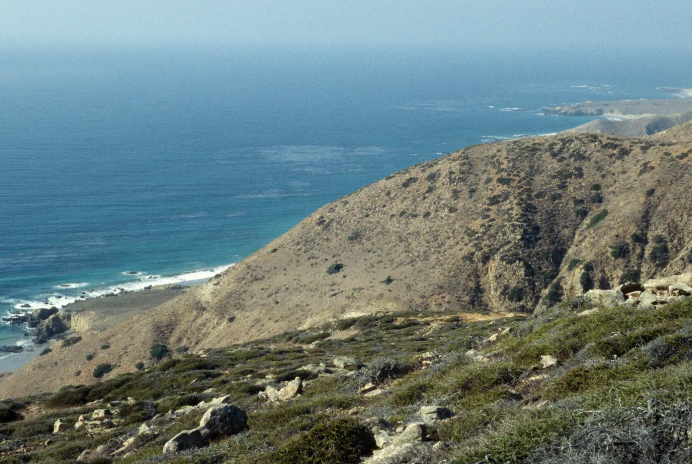 canyon SW of Grouse (BM), Santa Rosa Island
