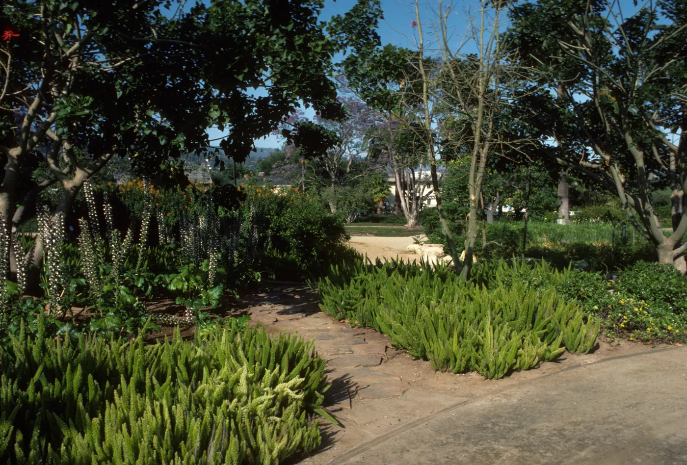 Alice Keck Park Memorial Garden