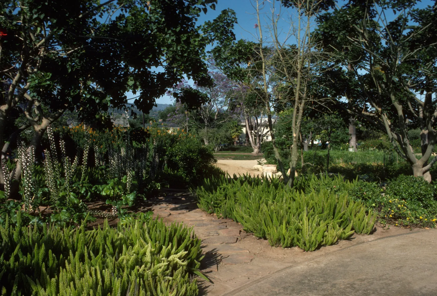 Alice Keck Park Memorial Garden