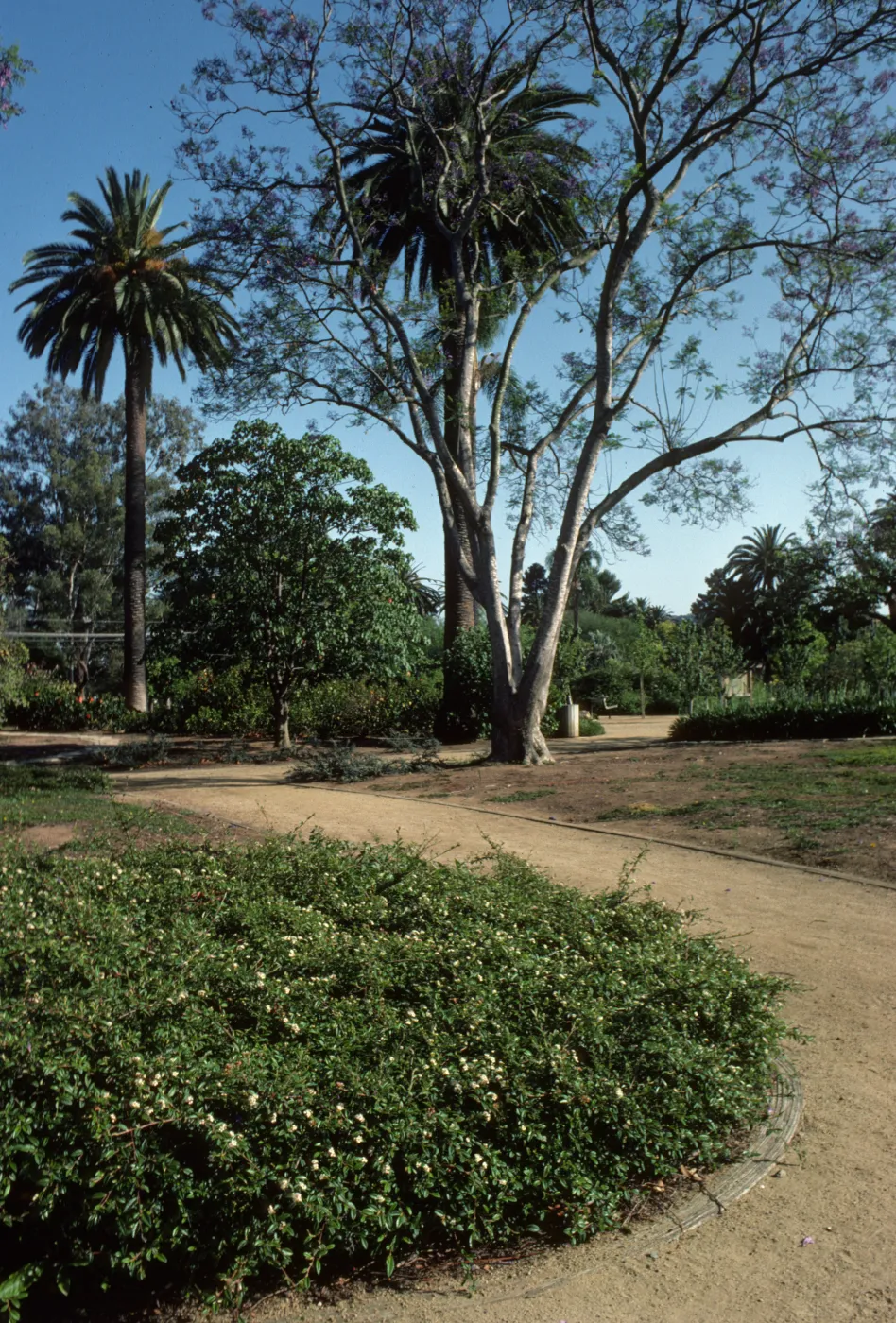 Alice Keck Park Memorial Garden