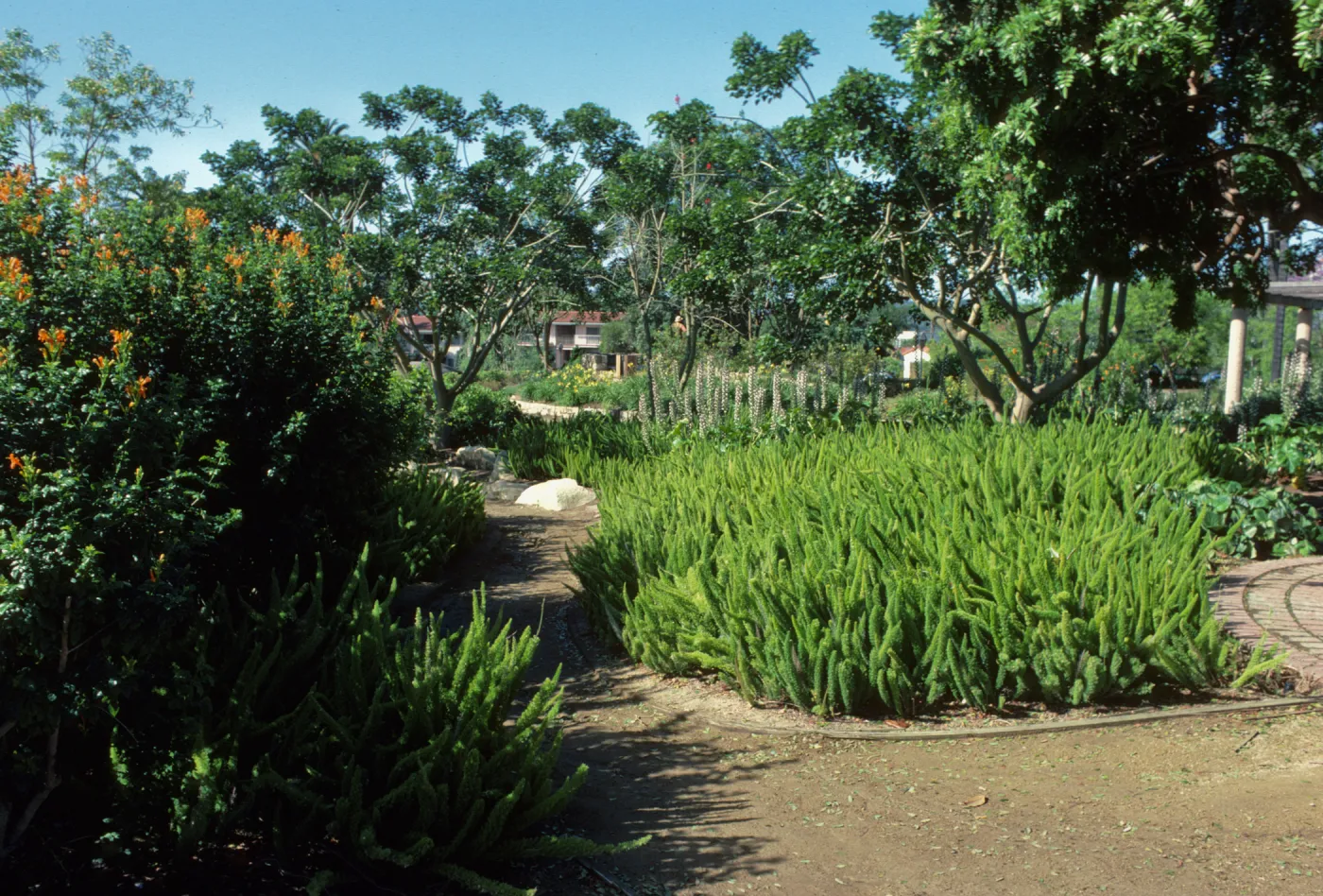 Alice Keck Park Memorial Garden
