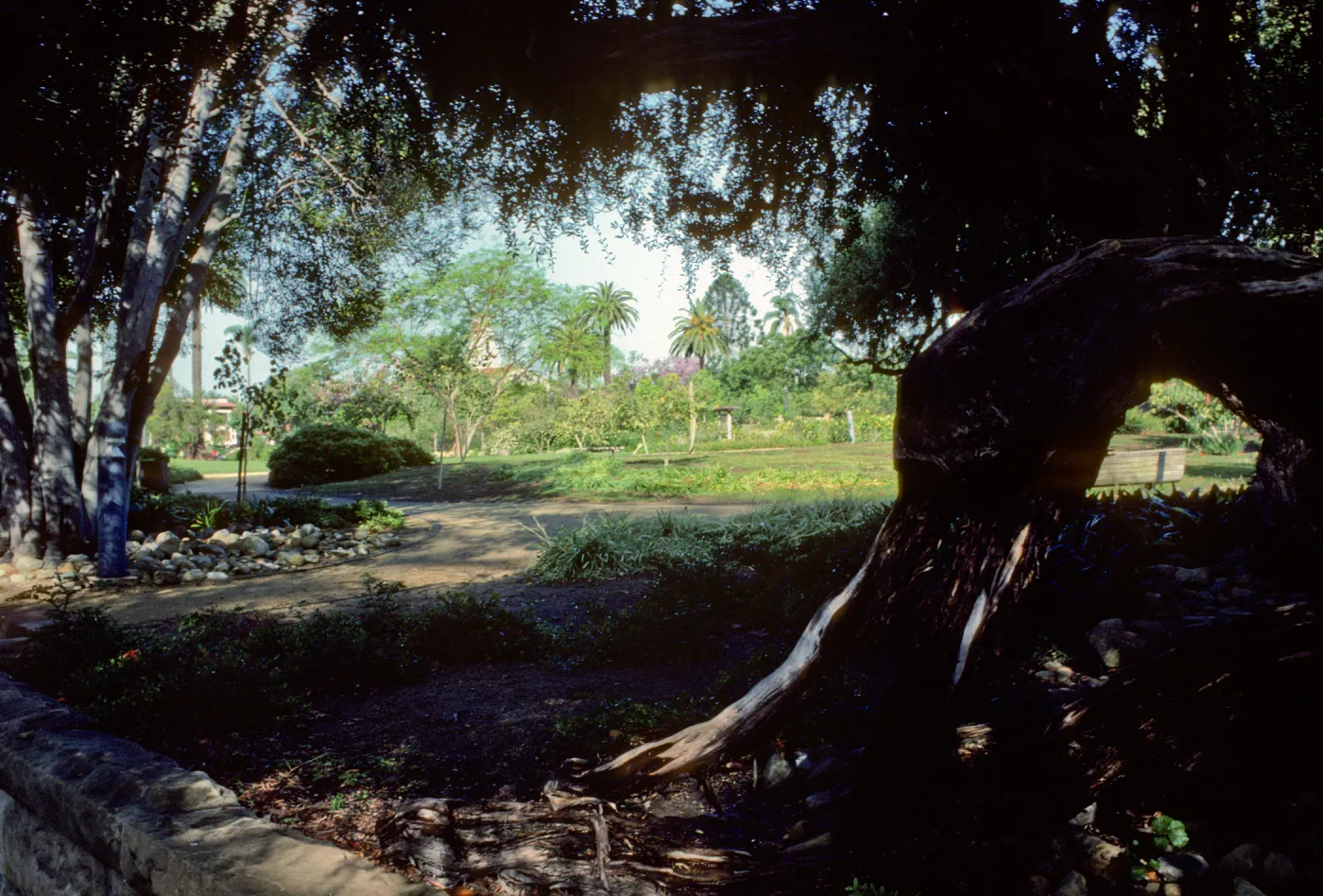 Alice Keck Park Memorial Garden