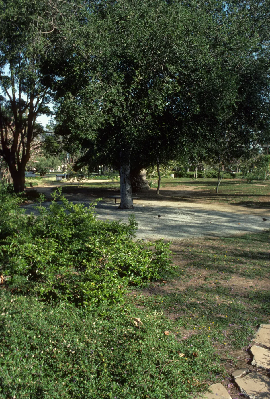 Alice Keck Park Memorial Garden