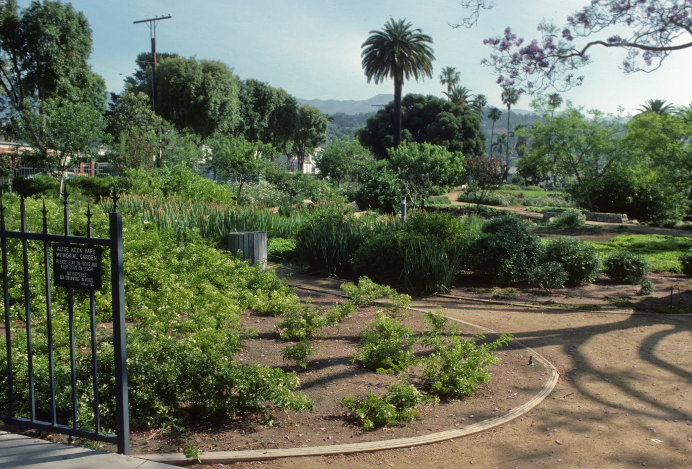 Alice Keck Park Memorial Garden